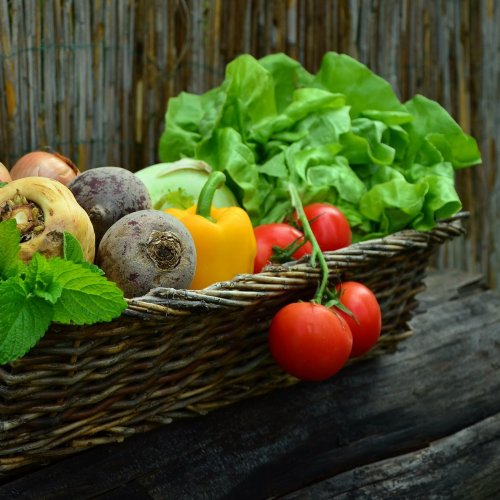 Basket full of Vegetables jigsaw puzzle