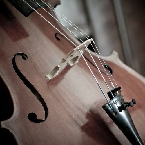 Cello Quiz: questions and answers