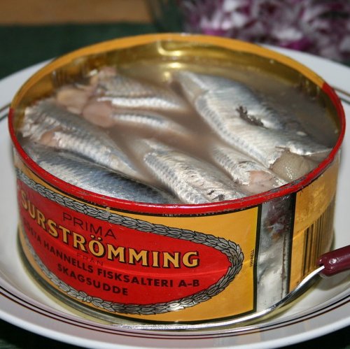 Surströmming Quiz: questions and answers
