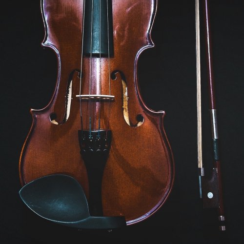 Violin Quiz: questions and answers
