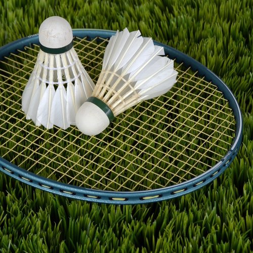 Badminton Quiz: Trivia Questions and Answers