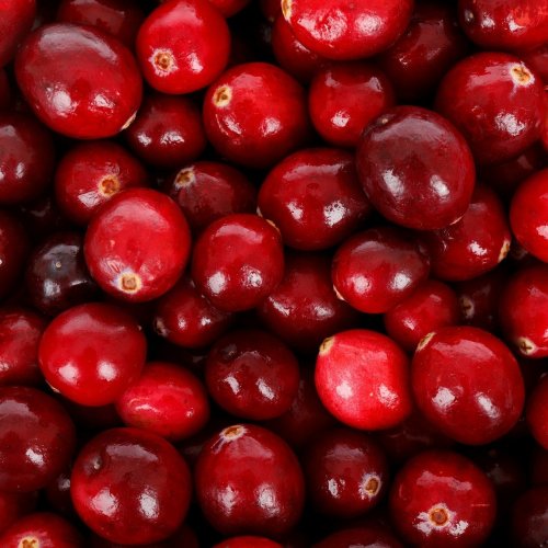 Cranberry Quiz: questions and answers