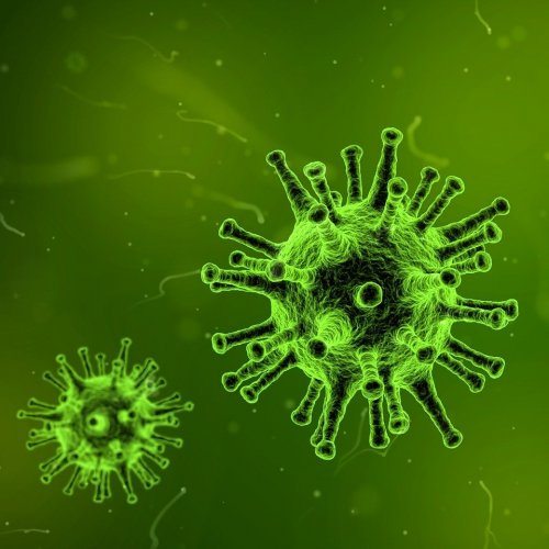 Virus Quiz: questions and answers