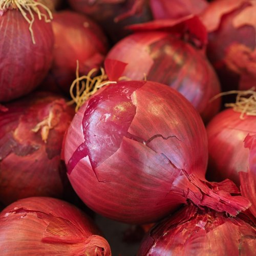 Onion Quiz: questions and answers