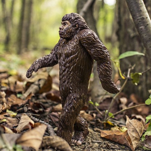 Bigfoot Quiz: questions and answers