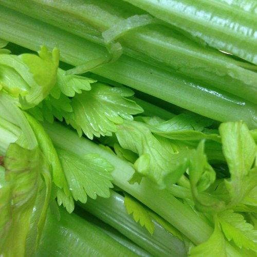 Celery Quiz: questions and answers