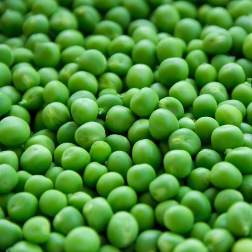 Pea Quiz: 10 Trivia Questions and Answers