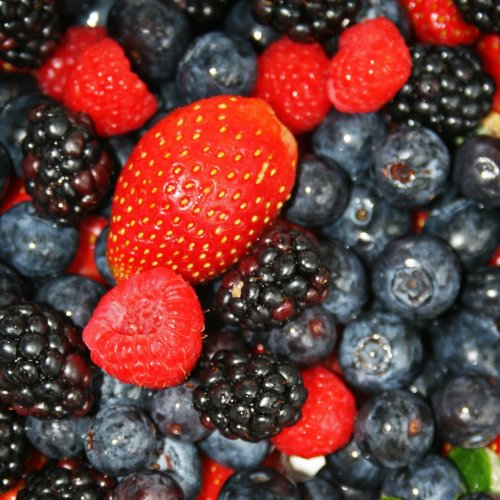 Berries Quiz: Trivia Questions and Answers
