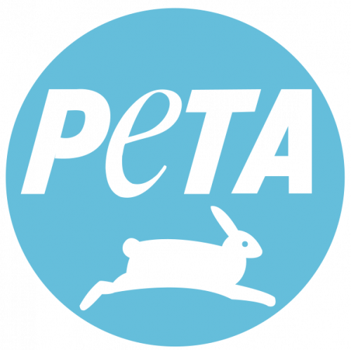 PETA Quiz: questions and answers