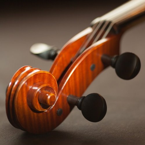 Musical Instruments Quiz: Trivia Questions and Answers