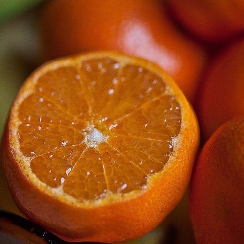 Oranges Quiz: Trivia Questions and Answers