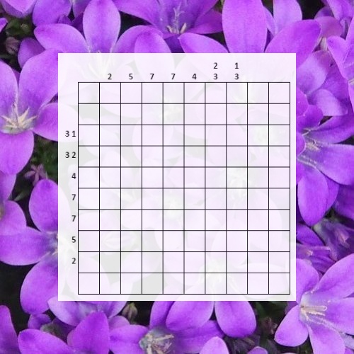 Nonogram Puzzle: Butterfly