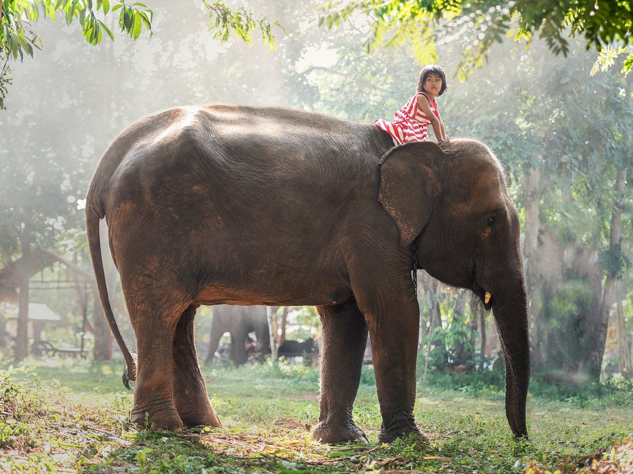 Little Girl with Elephant jigsaw puzzle