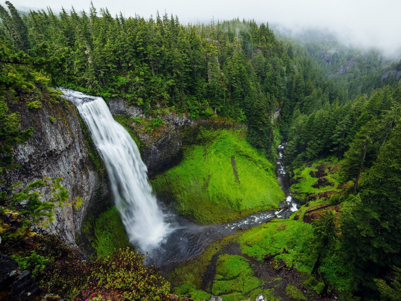 The Forest waterfall jigsaw puzzle
