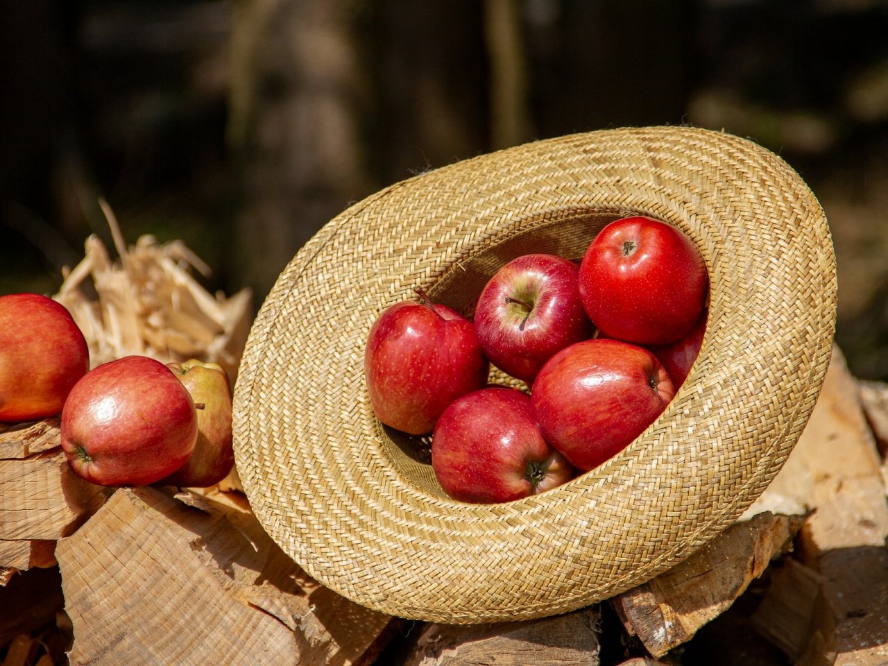 Apple Harvest jigsaw puzzle