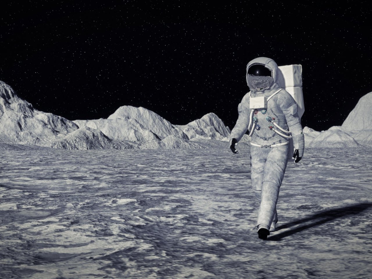 Man on the moon jigsaw puzzle
