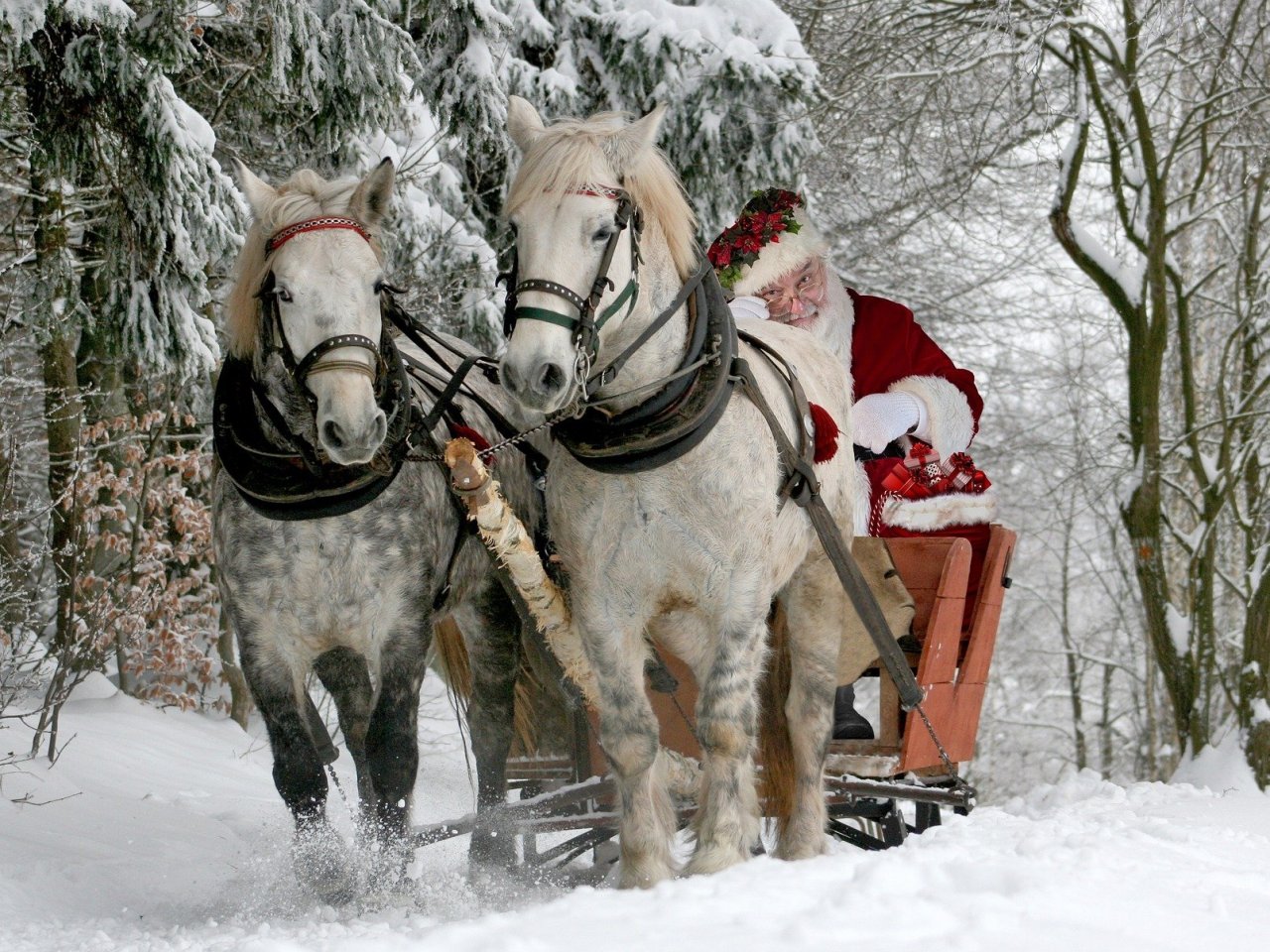 Santa on the Ride jigsaw puzzle