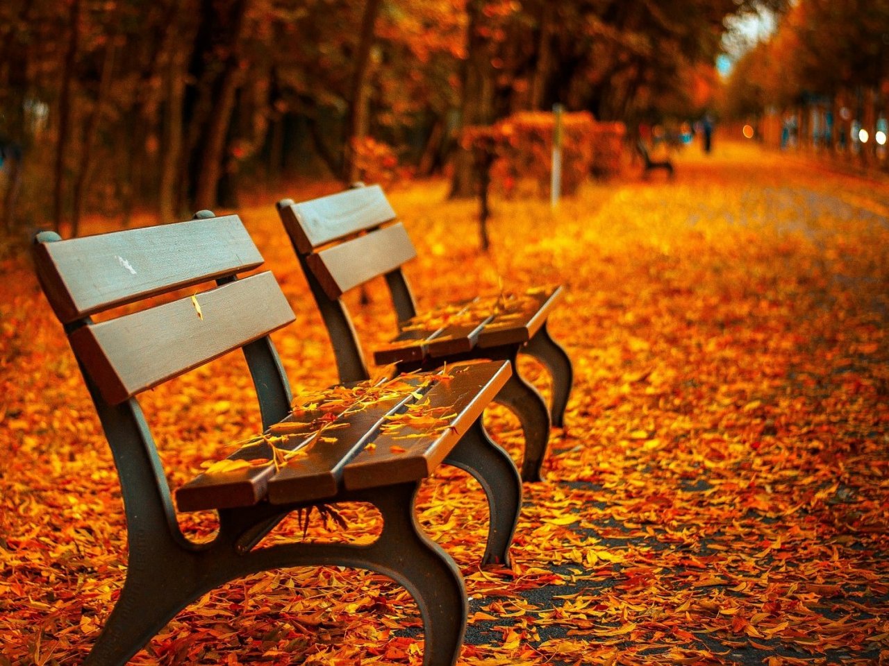 Autumn in the park jigsaw puzzle