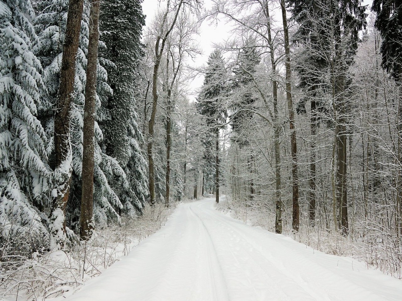 Winter Road Online Jigsaw Puzzle