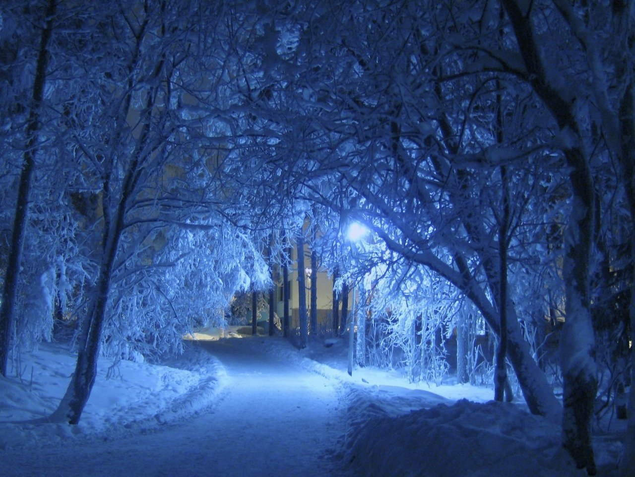 Winter Night Online Jigsaw Puzzle