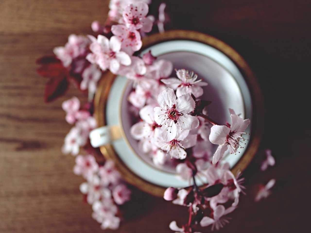 Cherry Blossoms in the Cup Online Jigsaw Puzzle