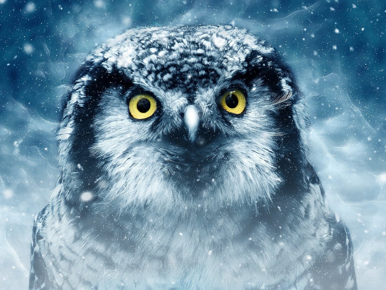 Owl in Snow Online Jigsaw Puzzle