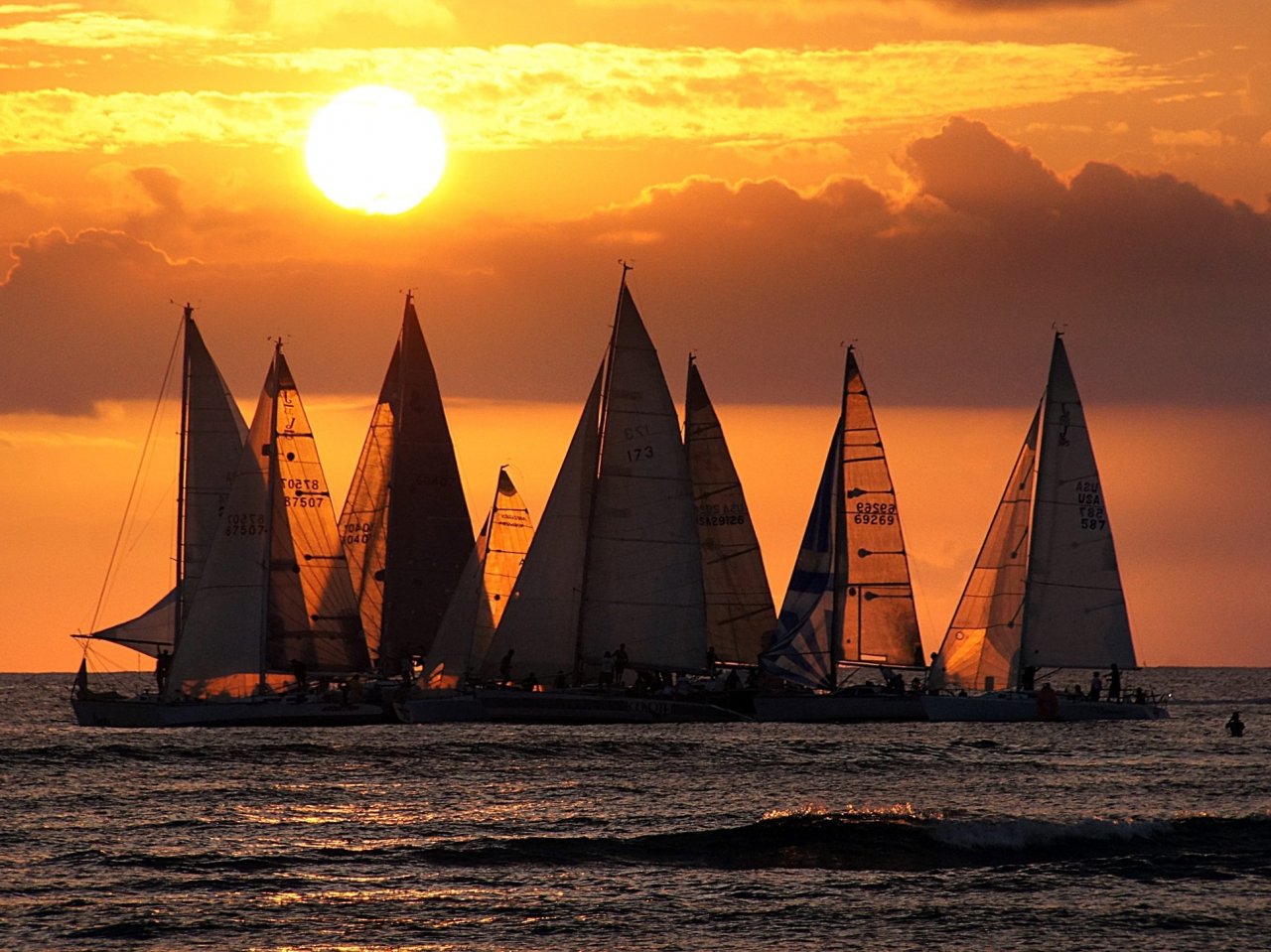 Yachts at the sunset jigsaw puzzle