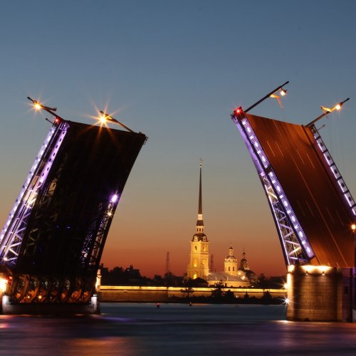 The Palace bridge of St. Petersburg jigsaw puzzle