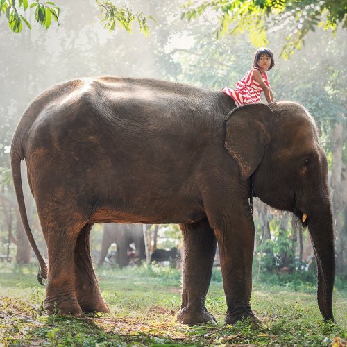 Little Girl with Elephant jigsaw puzzle