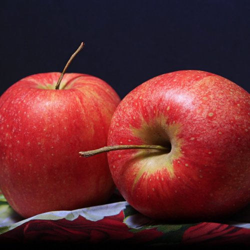 Red Apples jigsaw puzzle