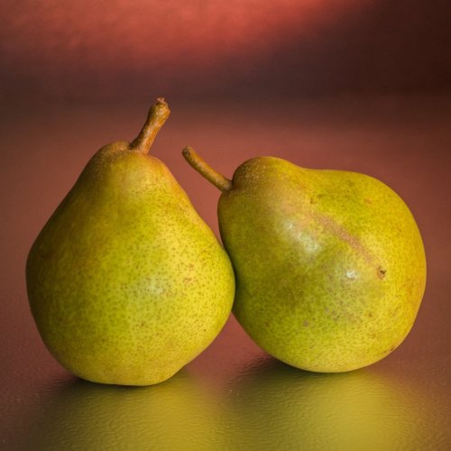 Two Ripe Pears jigsaw puzzle