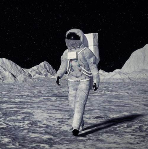 Man on the moon jigsaw puzzle