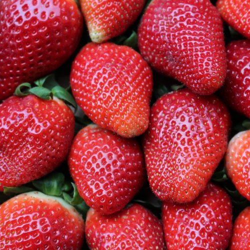 Tasty strawberries Online Jigsaw Puzzle