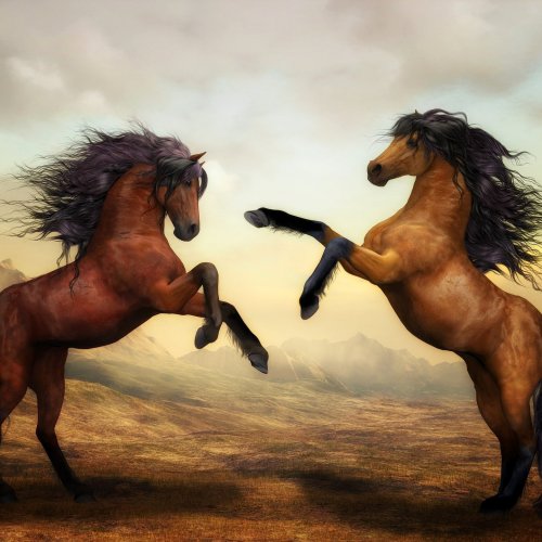 Two Stallions Online Jigsaw Puzzle