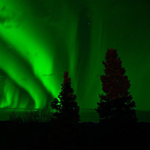 Bright Northern Lights Online Jigsaw Puzzle