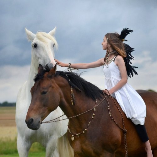 Girl and Horses Online Jigsaw Puzzle