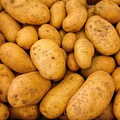 Potatoes Quiz