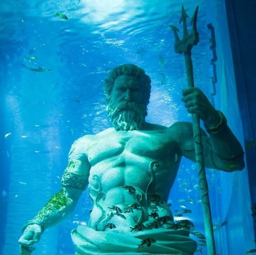 Poseidon Quiz