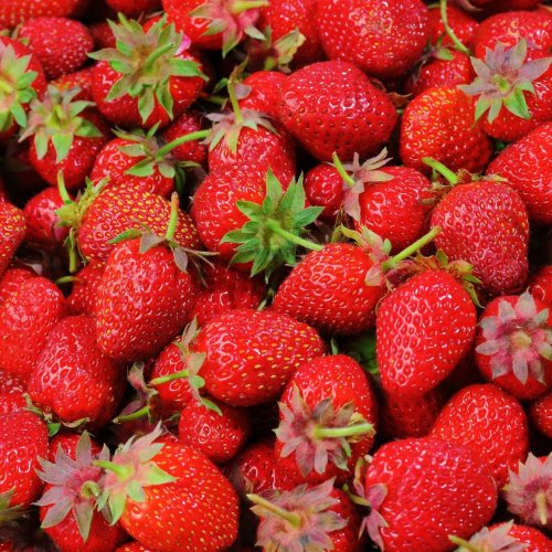 Strawberry Quiz: Trivia Questions and Answers