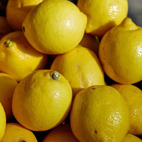 Lemon Quiz: questions and answers