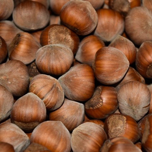 Hazelnut Quiz: questions and answers