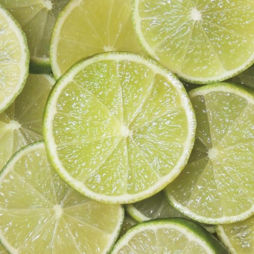 Quiz "Lime Quiz: questions and answers