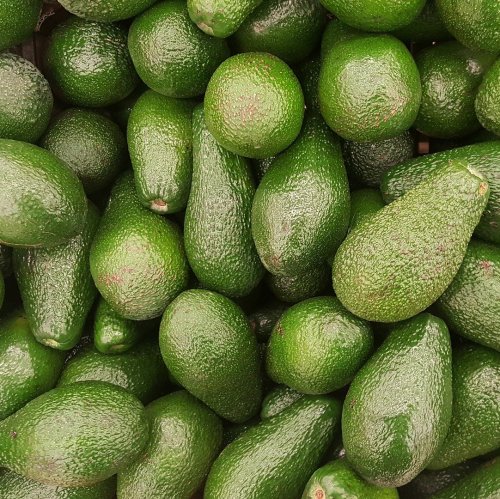 Avocado Quiz: questions and answers