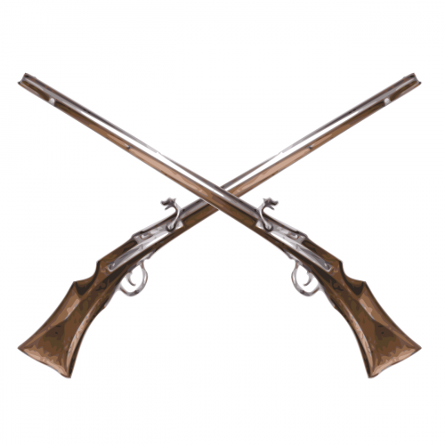 Musket Quiz: questions and answers