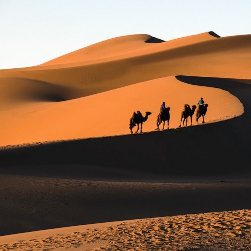 Gobi Desert Quiz: questions and answers