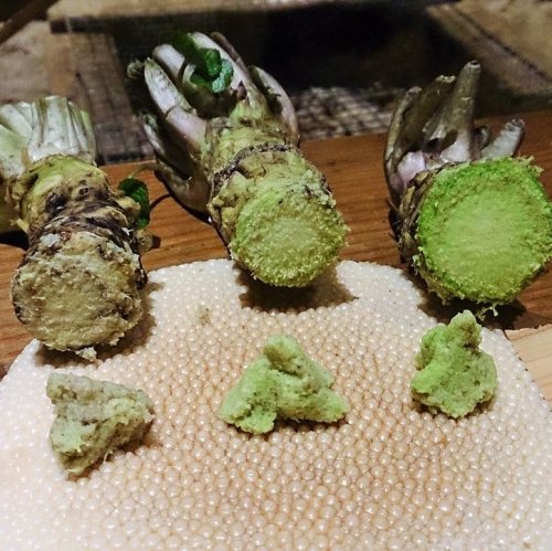 Wasabi Quiz: questions and answers