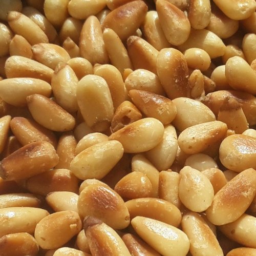Pine Nut Quiz: questions and answers