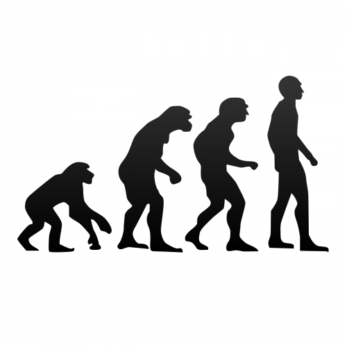 Evolution Quiz: questions and answers