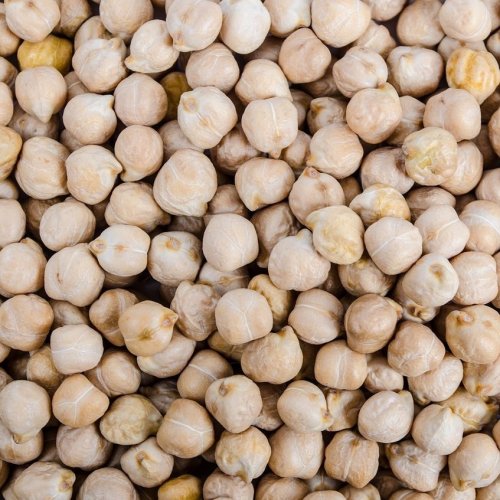 Chickpea Quiz: questions and answers