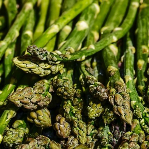 Asparagus Quiz: Trivia Questions and Answers